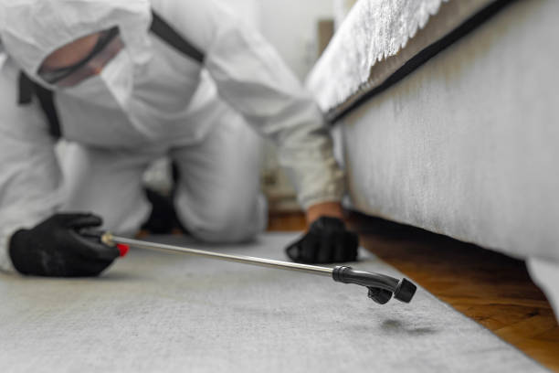 Professional Pest Control technician working in Texas, TX